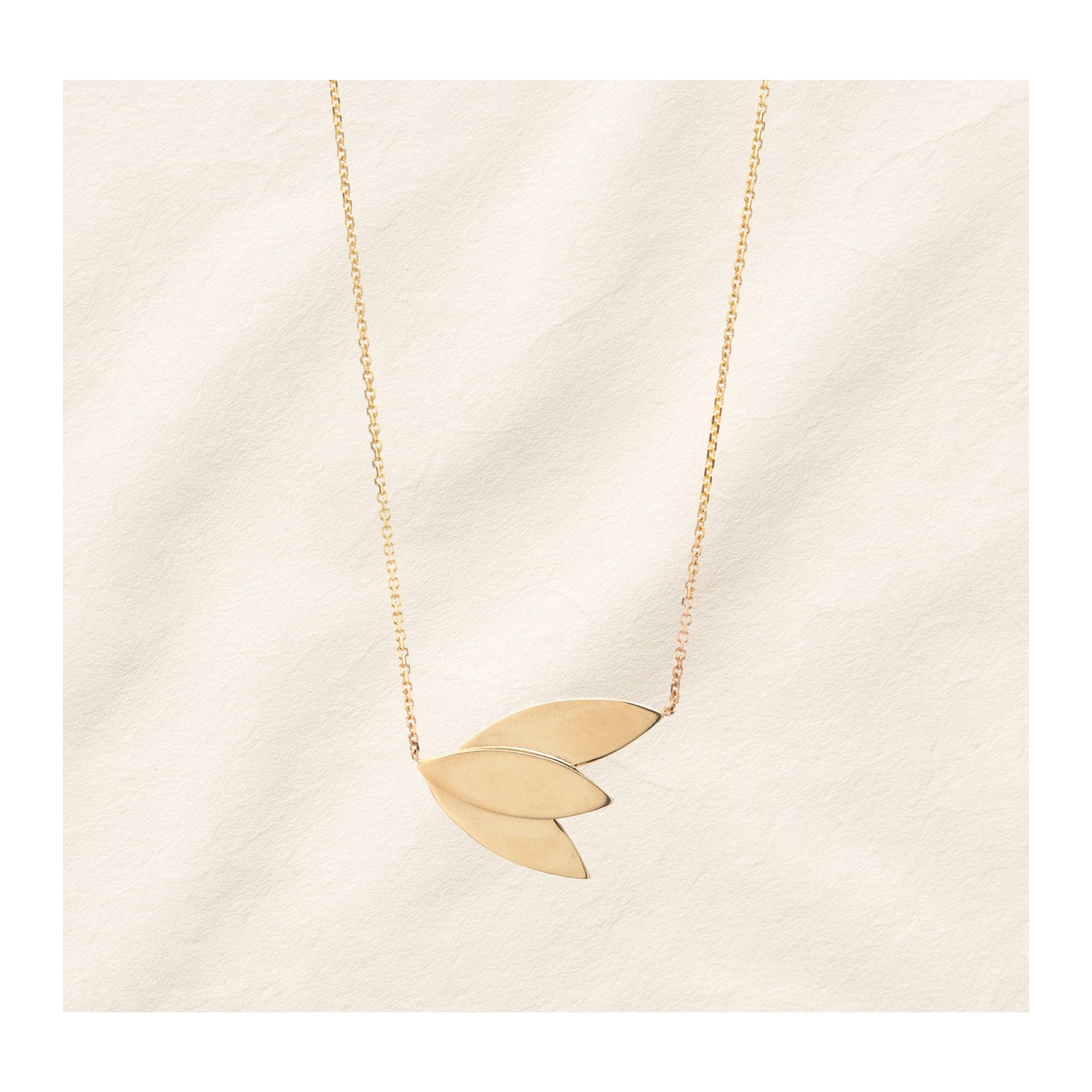 MARQUISE BIRD