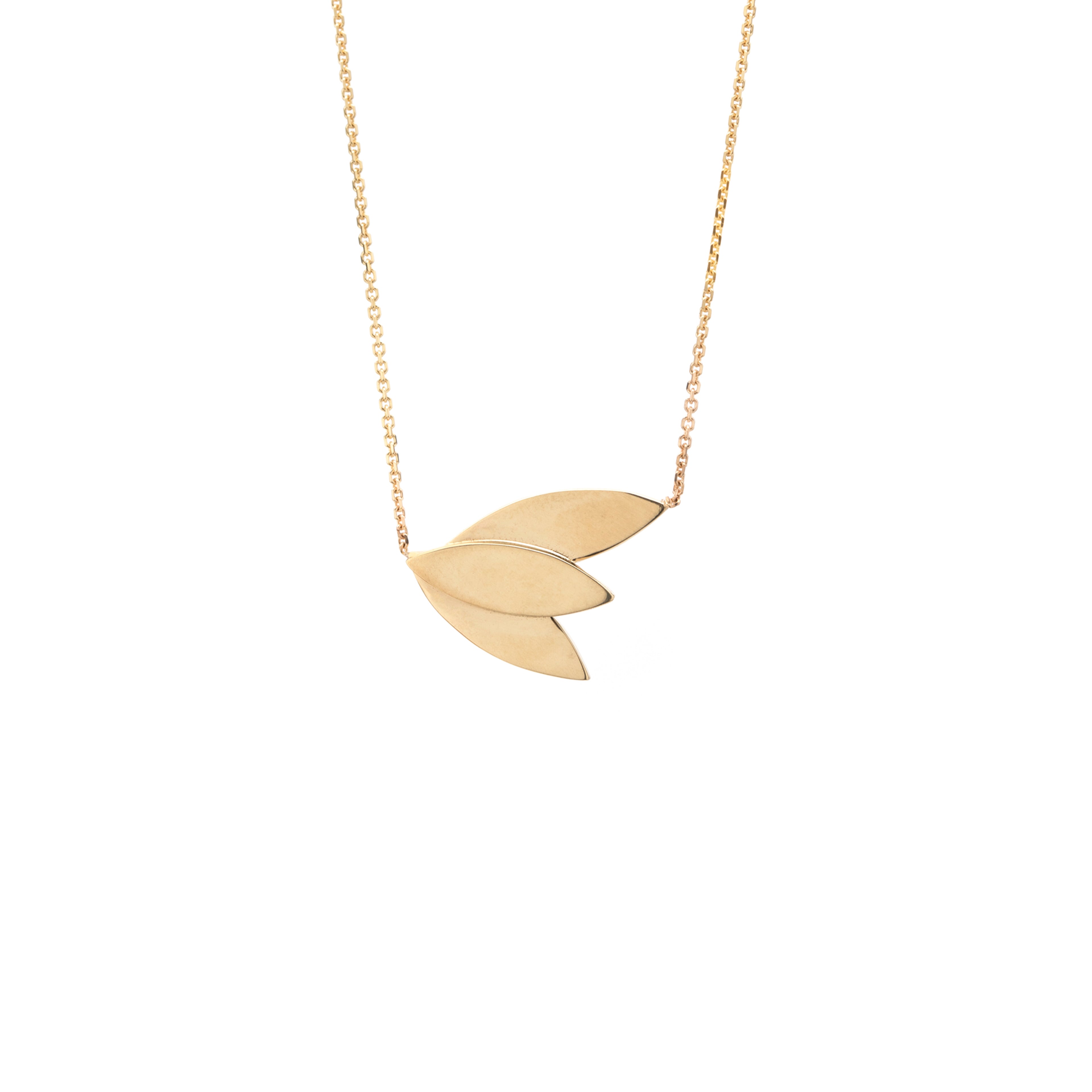 MARQUISE BIRD